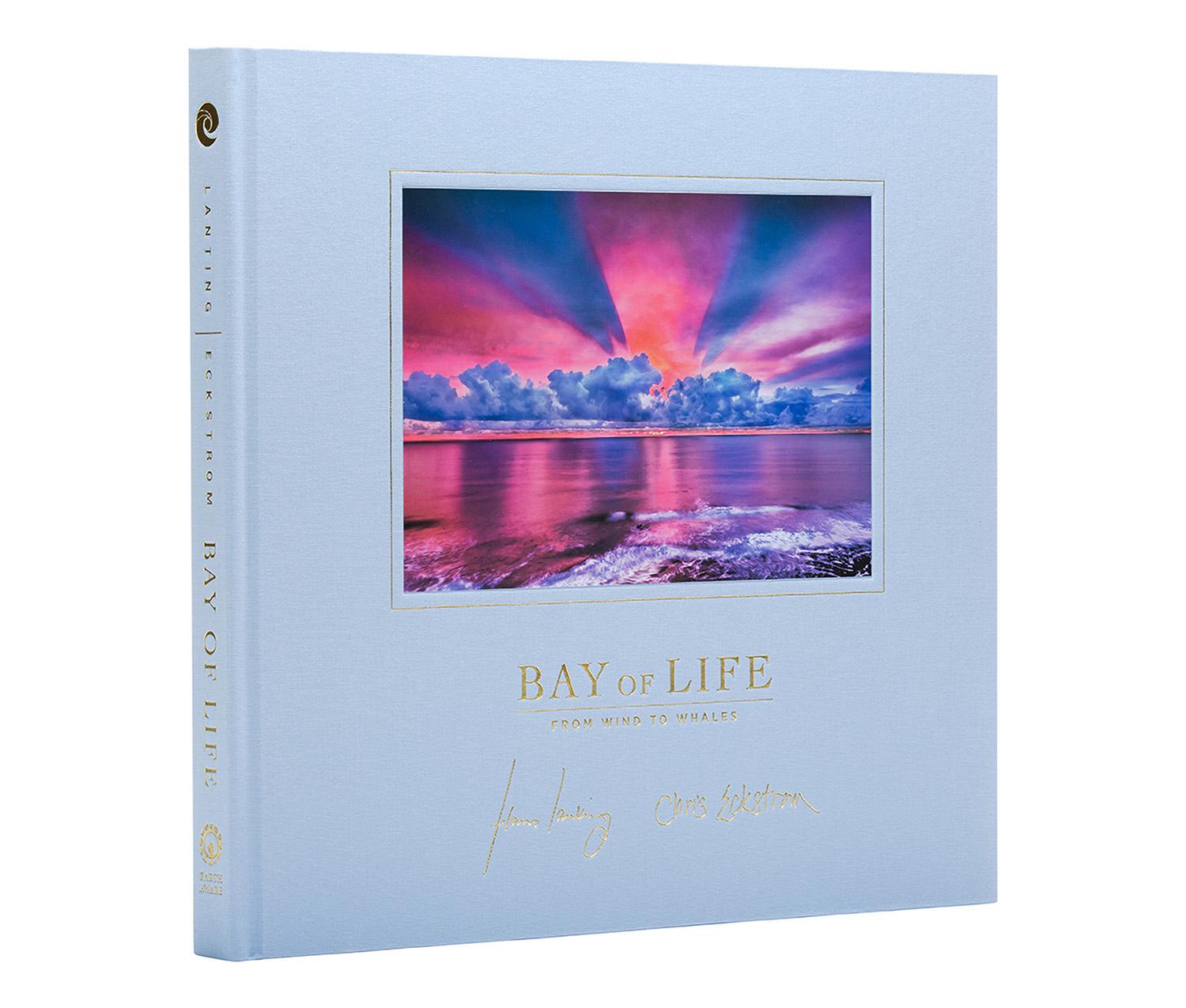 Bay of Life #1