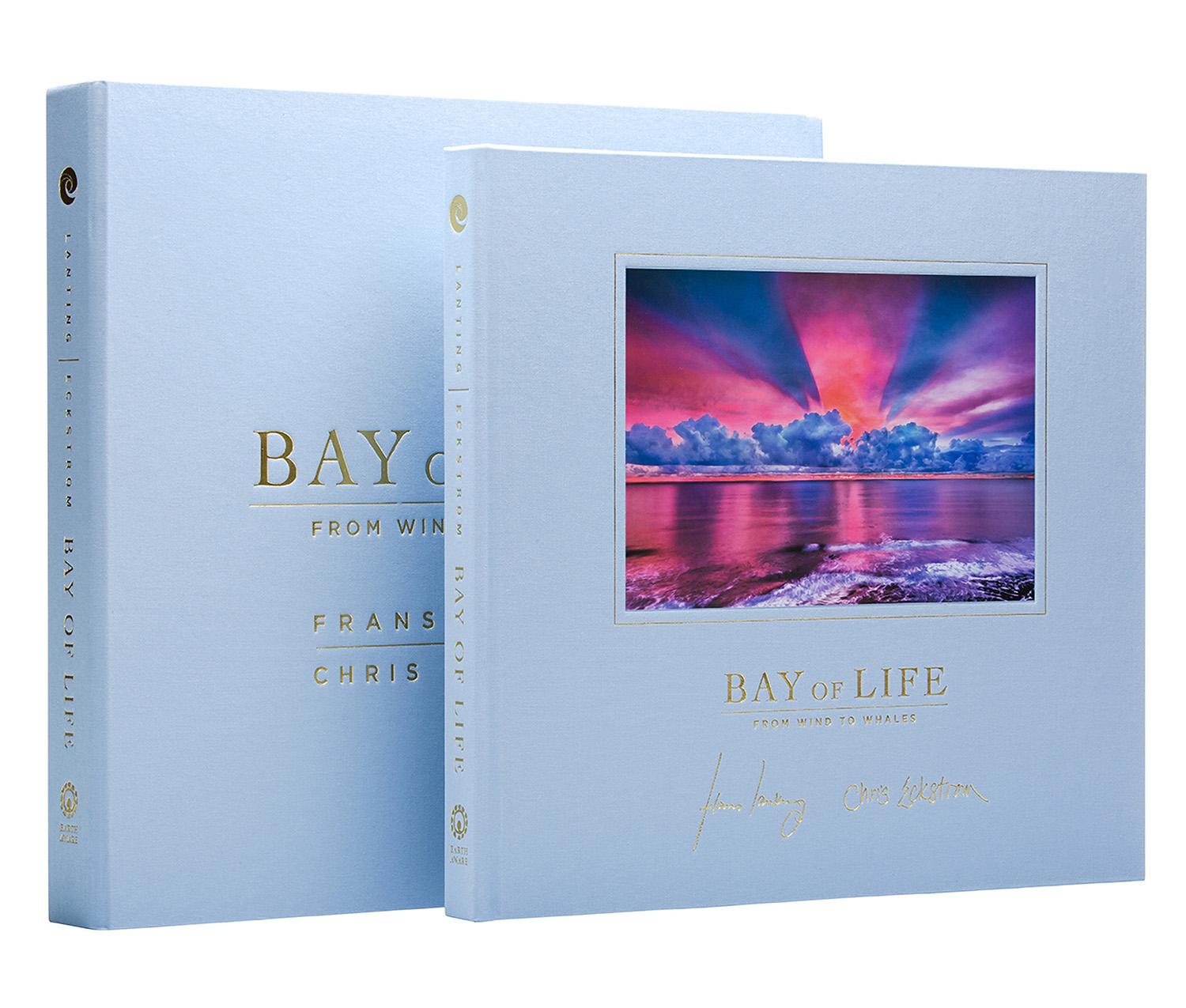 Bay of Life #2