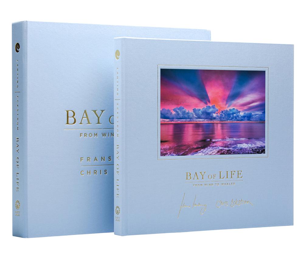 Bay of Life thumbnail #7