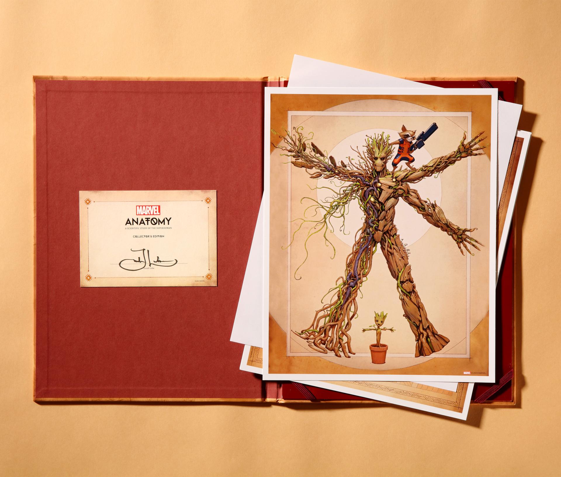 Marvel Anatomy: A Scientific Study of the Superhuman #3