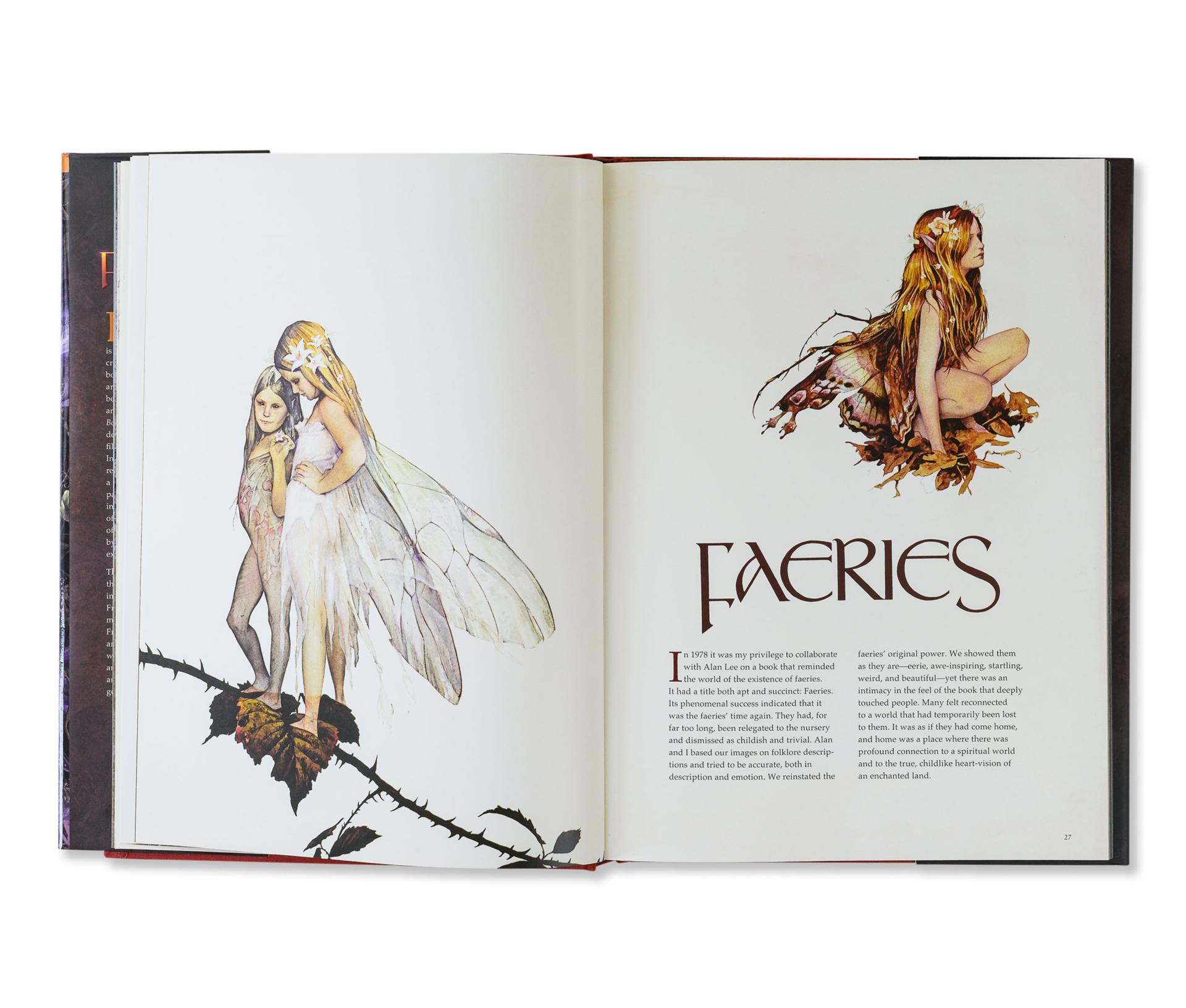 Brian Froud's World of Faerie #5