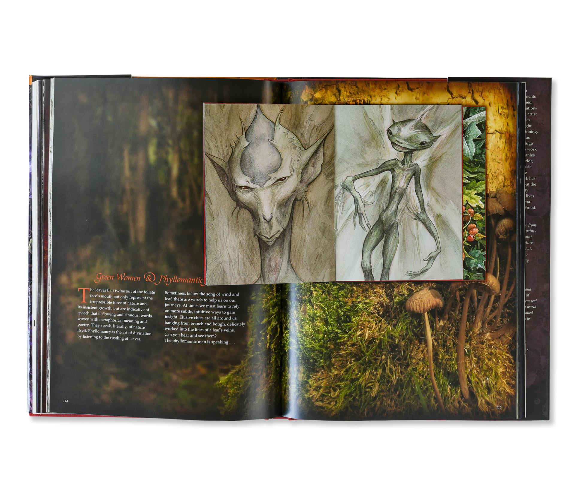 Brian Froud's World of Faerie #10