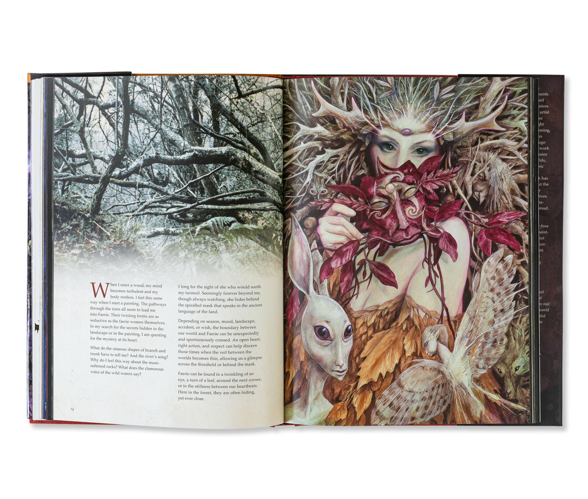 Brian Froud's World of Faerie #11